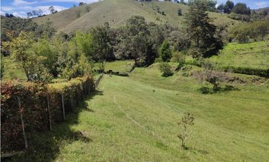 Finca en venta Marinilla 43.000 m2 hermosa panorámica RG