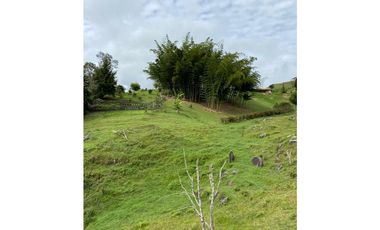 VENTA FINCA MARINILLA VIA EL PEÑOL, ANTIOQUIA, COLOMBIA