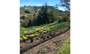 VENTA FINCA MARINILLA VIA EL PEÑOL, ANTIOQUIA, COLOMBIA