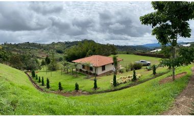 VENTA FINCA MARINILLA VIA EL PEÑOL, ANTIOQUIA, COLOMBIA