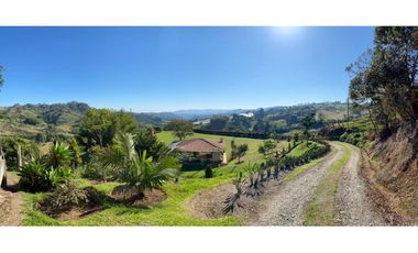 VENTA FINCA MARINILLA VIA EL PEÑOL, ANTIOQUIA, COLOMBIA