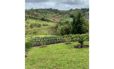 VENTA FINCA MARINILLA VIA EL PEÑOL, ANTIOQUIA, COLOMBIA