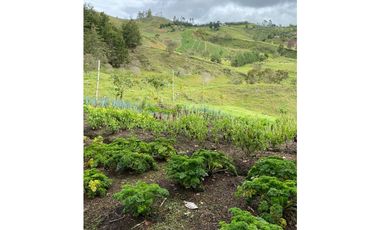 VENTA FINCA MARINILLA VIA EL PEÑOL, ANTIOQUIA, COLOMBIA