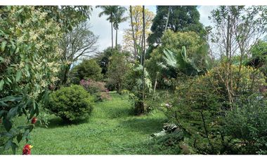 CASA LOTE LA ESTRELLA - VEREDA PUEBLO VIEJO