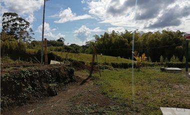 VENTA FINCA VEREDA LA JULIA FILANDIA QUINDO