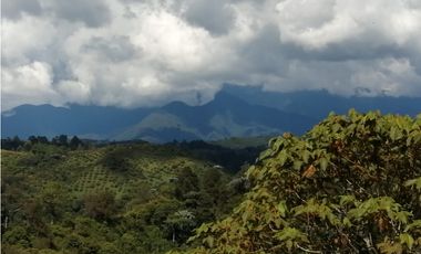 VENTA FINCA VEREDA LA JULIA FILANDIA QUINDO