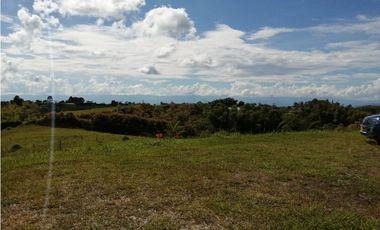 VENTA FINCA VEREDA LA JULIA FILANDIA QUINDO