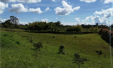 VENTA FINCA VEREDA LA JULIA FILANDIA QUINDO