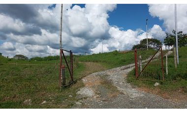 VENTA FINCA VEREDA LA JULIA FILANDIA QUINDO