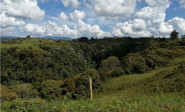 VENTA FINCA VEREDA LA JULIA FILANDIA QUINDO