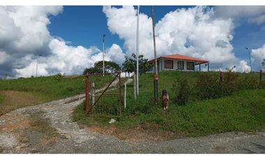 VENTA FINCA VEREDA LA JULIA FILANDIA QUINDO