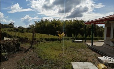 VENTA FINCA VEREDA LA JULIA FILANDIA QUINDO