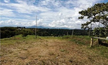 VENTA FINCA VEREDA LA JULIA FILANDIA QUINDO