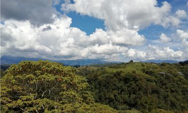 VENTA FINCA VEREDA LA JULIA FILANDIA QUINDO