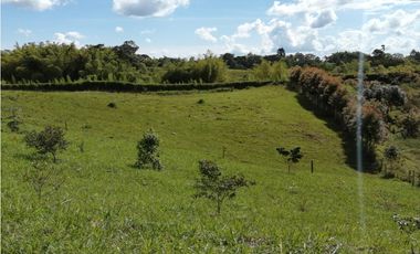 VENTA FINCA VEREDA LA JULIA FILANDIA QUINDO