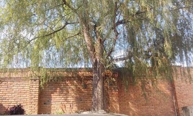 RESIDENCIA EN LOMAS DE COMANJILLA