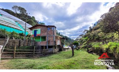 Finca ganadera de 70 cuadras en Argelia, Valle