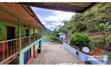 Finca ganadera de 70 cuadras en Argelia, Valle