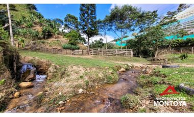 Finca ganadera de 70 cuadras en Argelia, Valle
