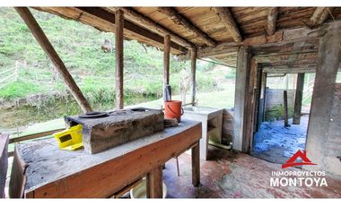 Finca ganadera de 70 cuadras en Argelia, Valle