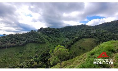 Finca ganadera de 70 cuadras en Argelia, Valle