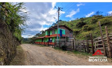 Finca ganadera de 70 cuadras en Argelia, Valle