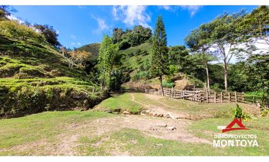 Finca ganadera de 70 cuadras en Argelia, Valle