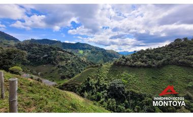 Finca ganadera de 70 cuadras en Argelia, Valle