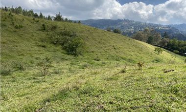 Venta de Lote en  El Retiro