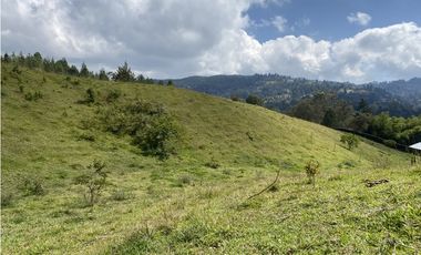 Venta de Lote en  El Retiro