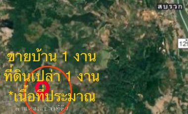 Land for sale in Pa Sak, Chiang Rai