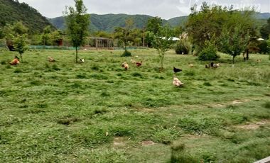 Agrícola en Venta en PEJERREY PUENTE LA PUNTILLA