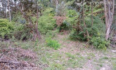 Agrícola en Venta en PEJERREY PUENTE LA PUNTILLA