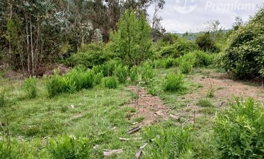 Agrícola en Venta en PEJERREY PUENTE LA PUNTILLA
