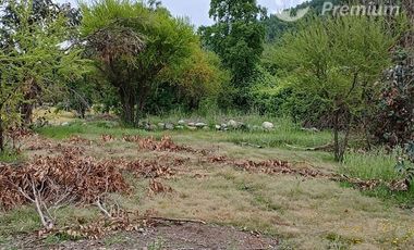 Agrícola en Venta en PEJERREY PUENTE LA PUNTILLA