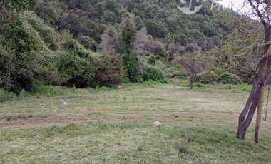 Agrícola en Venta en PEJERREY PASANDO PUENTE LA PUNTILLA