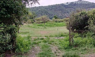 Agrícola en Venta en PEJERREY PASANDO PUENTE LA PUNTILLA