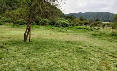 Agrícola en Venta en PEJERREY PASANDO PUENTE LA PUNTILLA