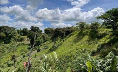 VENTA LOTE TITULADO 1.4 HECTREAS EN PENONOMÉ, ANTÓN