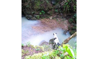 VENTA LOTE TITULADO 1.4 HECTREAS EN PENONOMÉ, ANTÓN