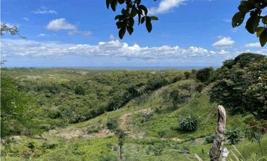 VENTA LOTE TITULADO 1.4 HECTREAS EN PENONOMÉ, ANTÓN