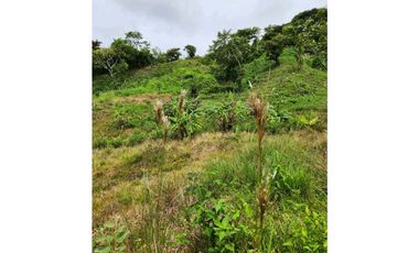 VENTA LOTE TITULADO 1.4 HECTREAS EN PENONOMÉ, ANTÓN