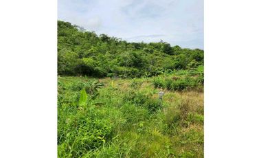 VENTA LOTE TITULADO 1.4 HECTREAS EN PENONOMÉ, ANTÓN