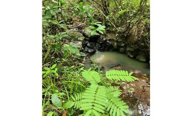 VENTA LOTE TITULADO 1.4 HECTREAS EN PENONOMÉ, ANTÓN