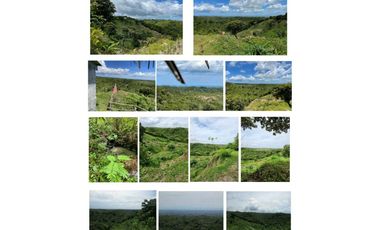 VENTA LOTE TITULADO 1.4 HECTREAS EN PENONOMÉ, ANTÓN