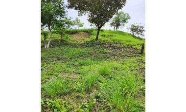 VENTA LOTE TITULADO 1.4 HECTREAS EN PENONOMÉ, ANTÓN