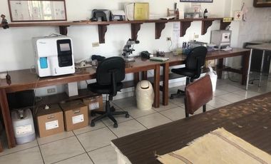 EDIFICIO EN VENTA Y/O RENTA, ZUMPANGO, SOBRE AVENIDA.