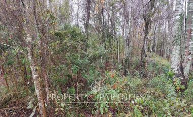 Hermoso terreno urbano de 10.000 mts2 Gorbea