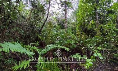 Hermoso terreno urbano de 10.000 mts2 Gorbea