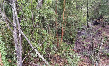 Hermoso terreno urbano de 10.000 mts2 Gorbea